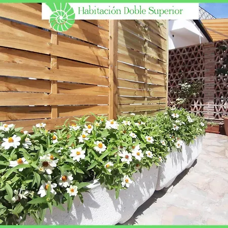 Habitación en casa particular Biznaga Hols (adults Only) Benalmádena