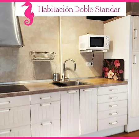Biznaga Hols (adults Only) Habitación en casa particular