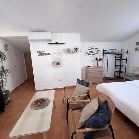 Biznaga Hols (adults Only) Habitación en casa particular
